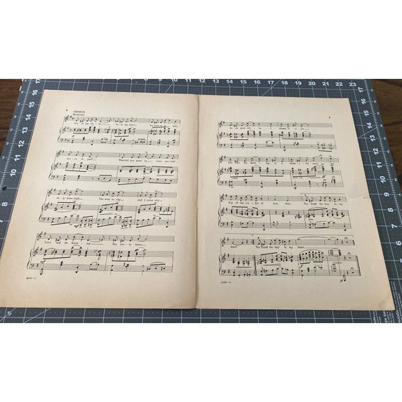 "Out of the Cradle Into My Heart"  by L. Wolfe Gilbert  Anatol Friedland 1916 - Picture 4 of 5